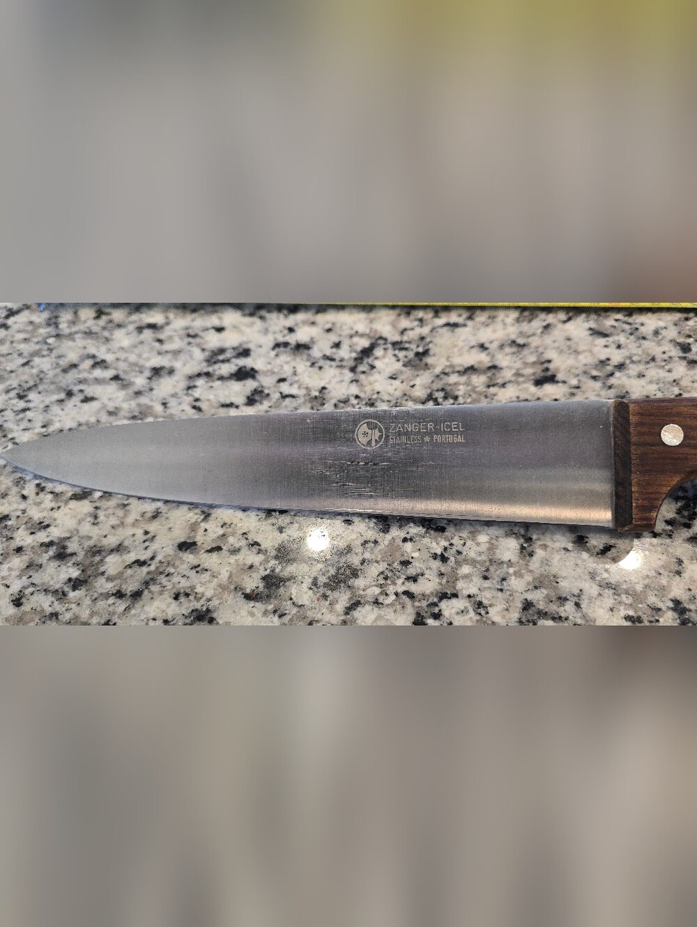 Zanger-Icel 9.5-inch kitchen knife
